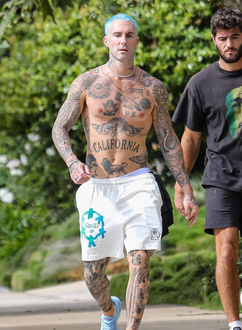 Adam Levine bulge