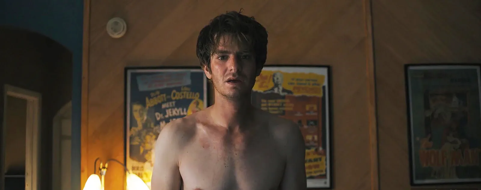 アンドリューガーフィールドシルバーレイクの下からのヌードセックスシーン