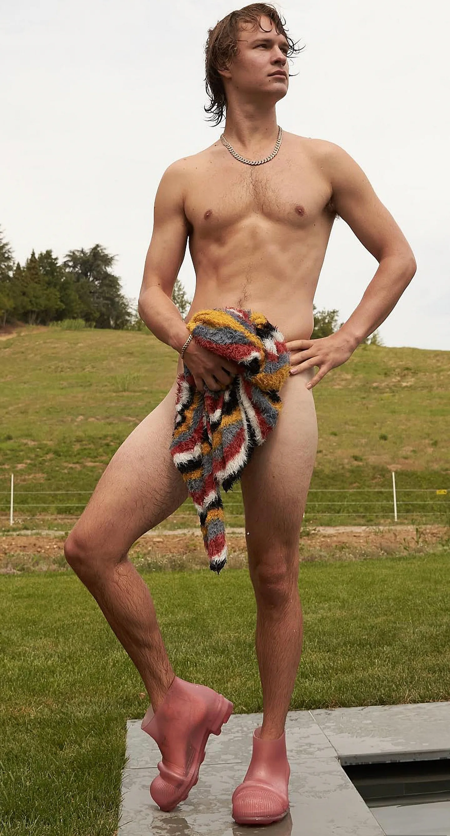 Ansel Elgort nude and sexy photos