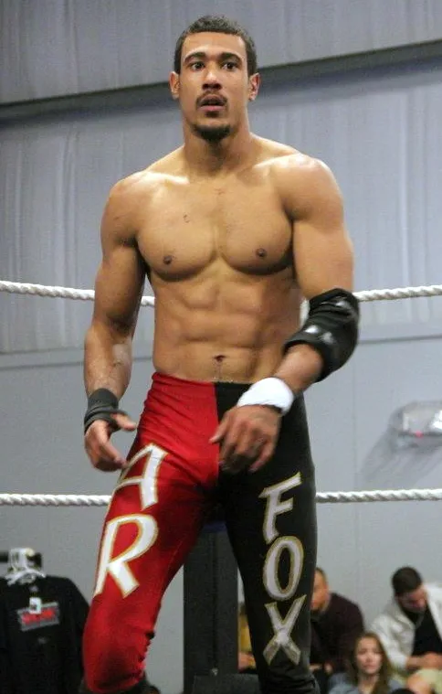 AR Fox nude