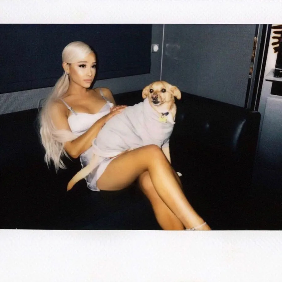 Aria Gradi Fabon (6 izgub)