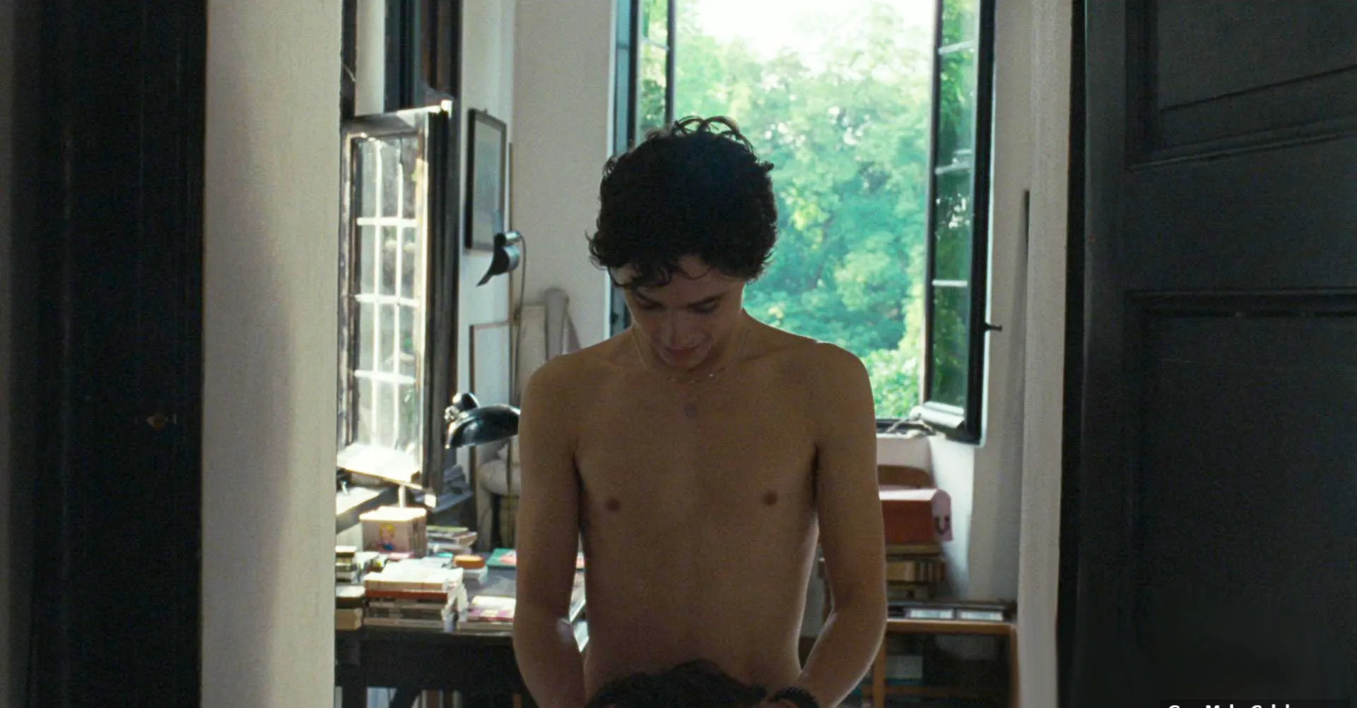 Timothee Chalamet oral sex