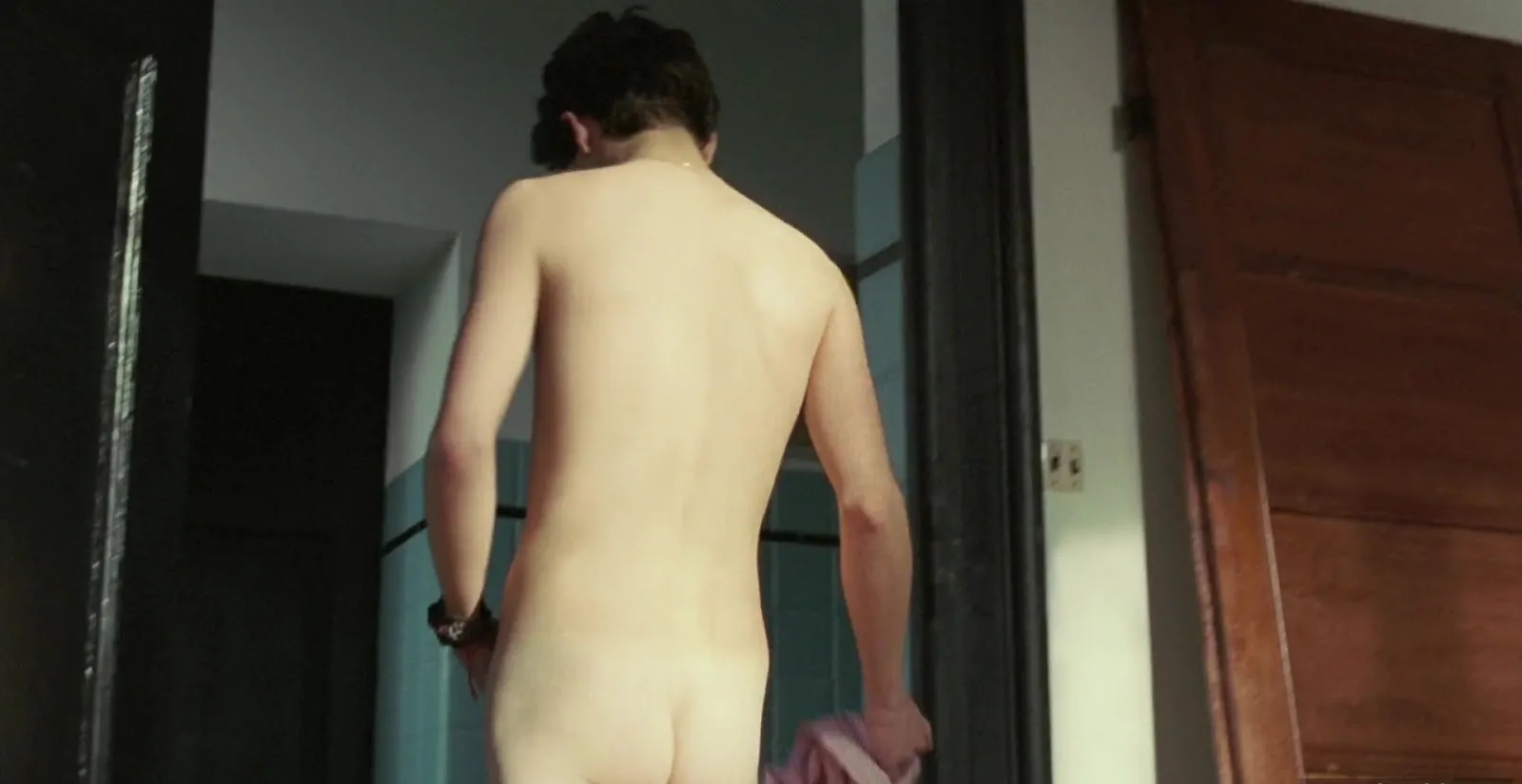Timothee Chalamet frontal nude