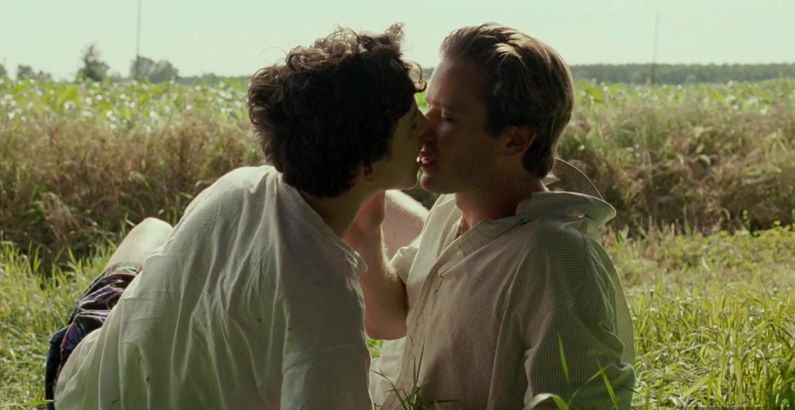 Timothee Chalamet porn