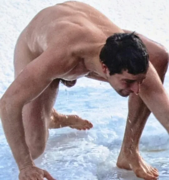 Мечка на скара, която показва невероятен петел