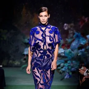 05-Белла-Хадид-Прозрачный