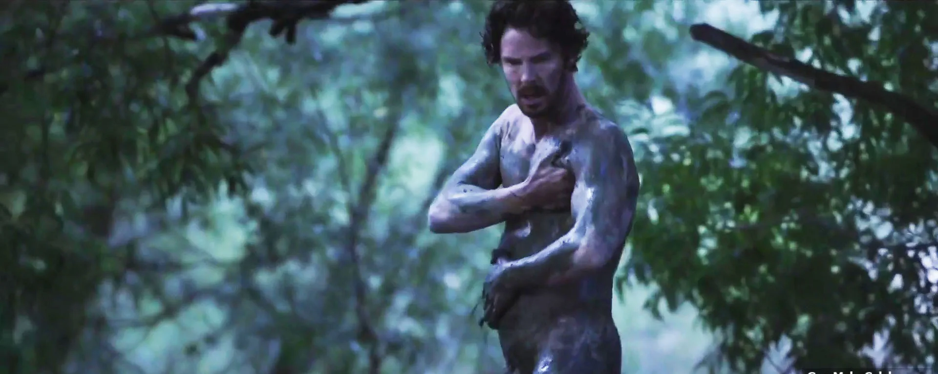 犬の力におけるベネディクトカンバーバッチヌードペニス