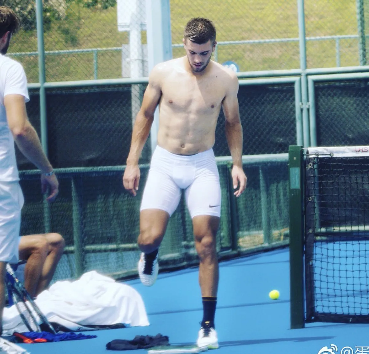 Borna Coric nude