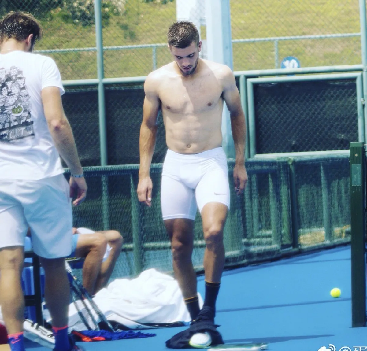 Borna Coric nude