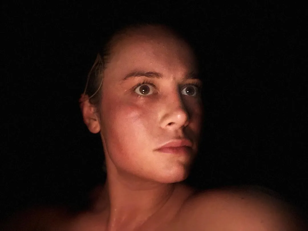 מזהה את גילוי לארסן