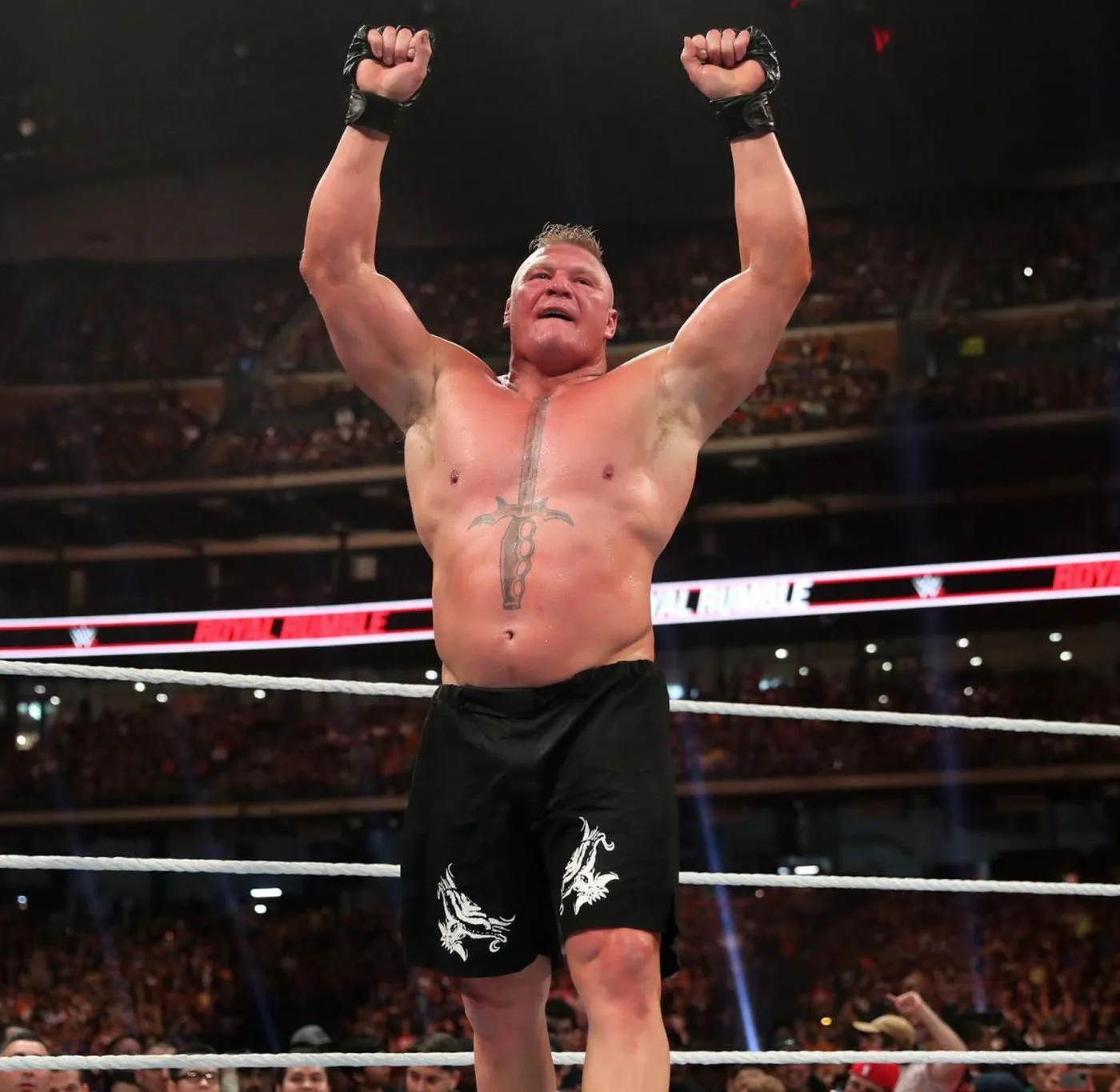 Brock Lesnar bulge