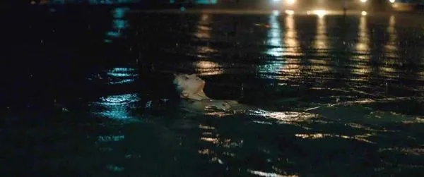 Алисия Викандер сиськи