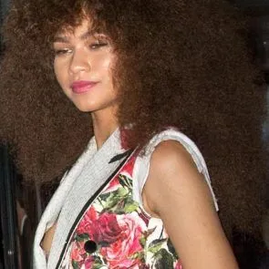 Zendaya nipp libisemine