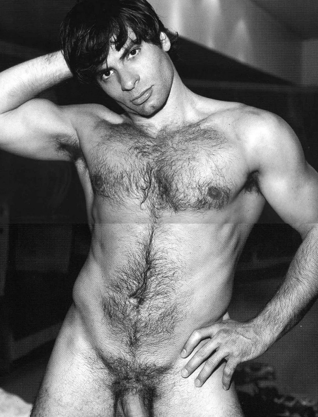 christophe dominici cock