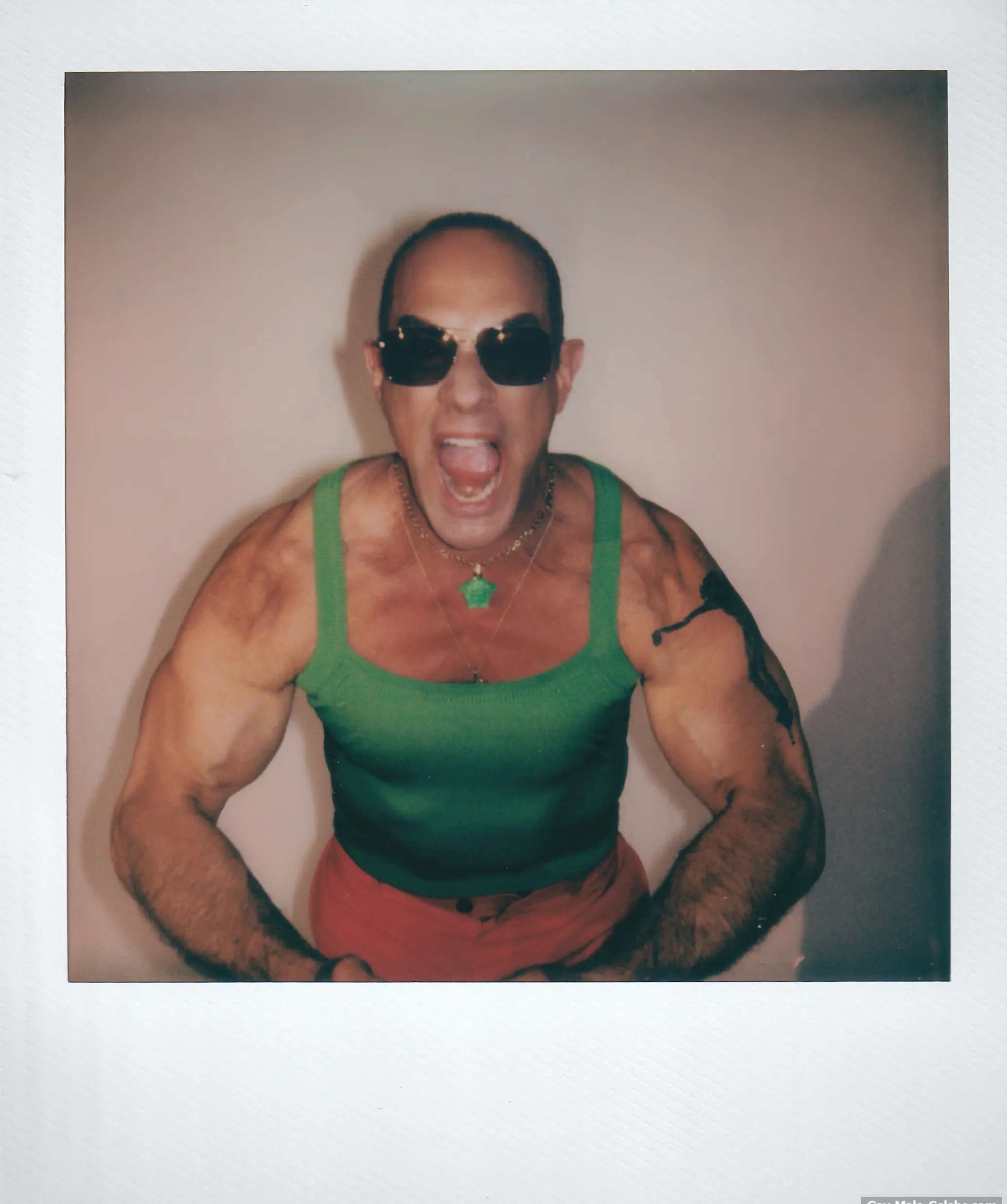 Christopher Meloni nudes