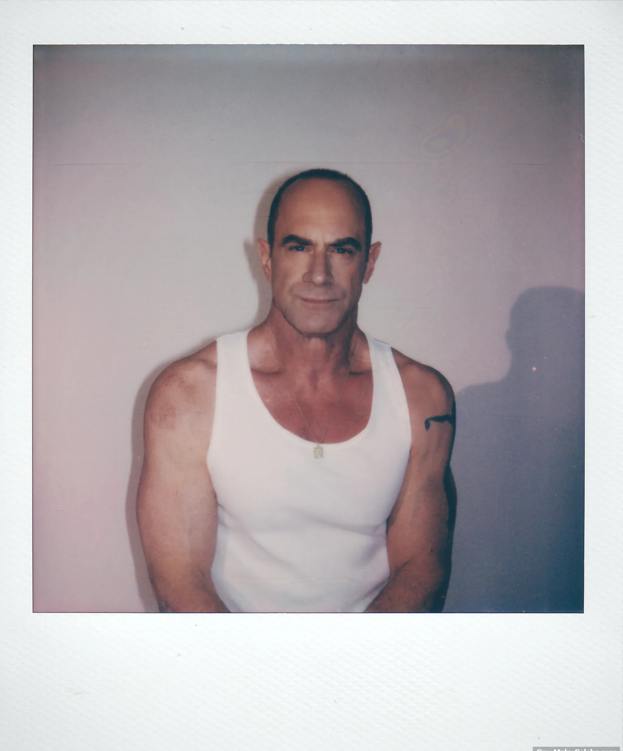 Christopher Meloni nudity