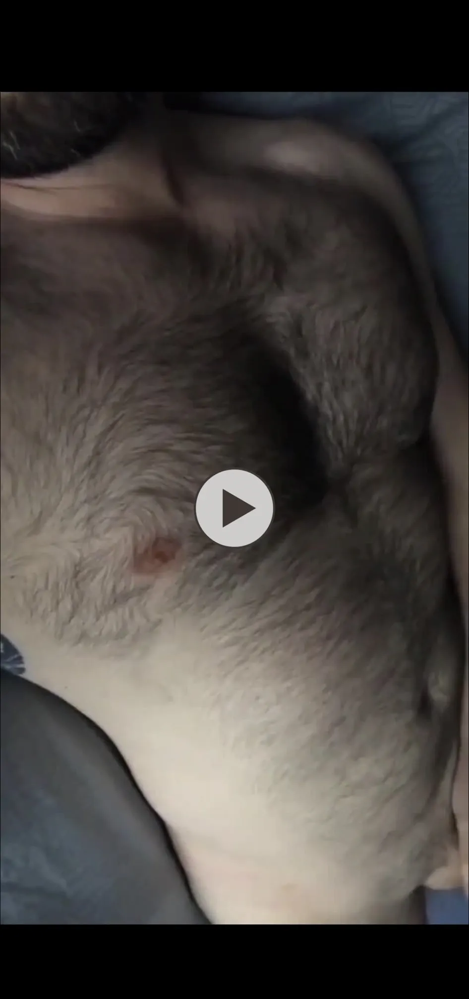 Colin Donnell Leaked Nude