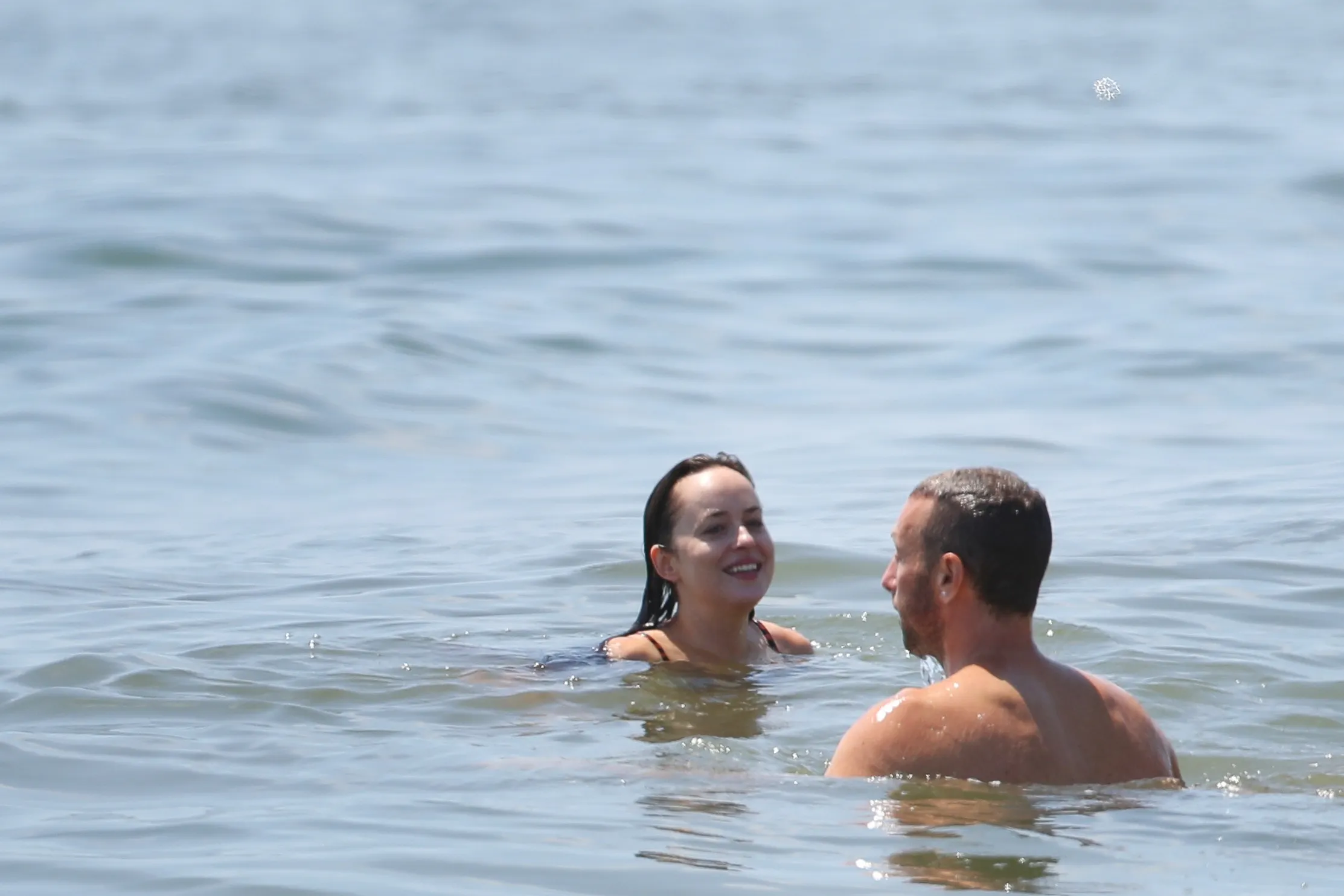 Dakota Johnson Sexy Bikini (46 Fotos)