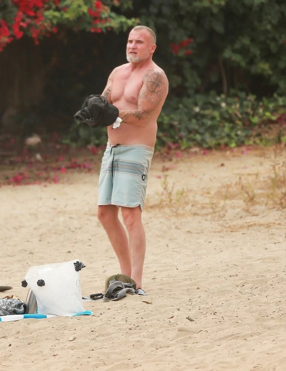 Dominic Purcell sextape