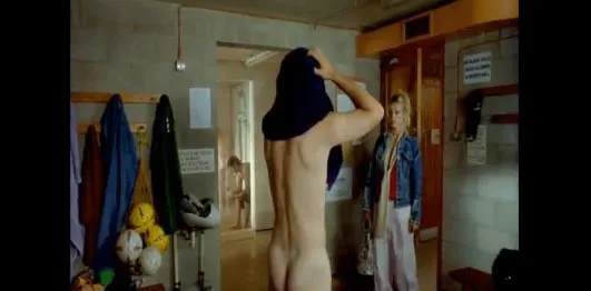 חתולים וכלבים