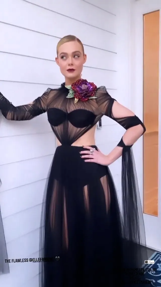 Elle Fanning Hot In A See Through Dress