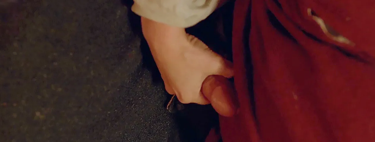 פרדי פוקס דיק גולה