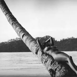 Genevieve Morton estirat a la palmera