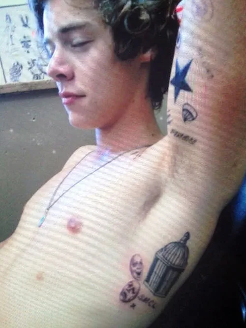 Harry Style Nude