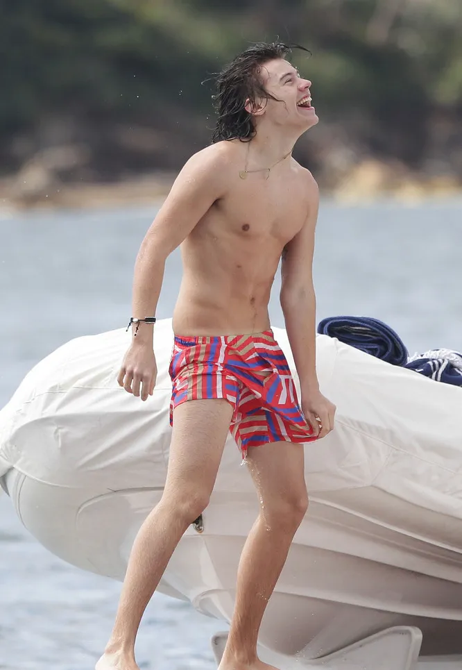 Harry Style Nude