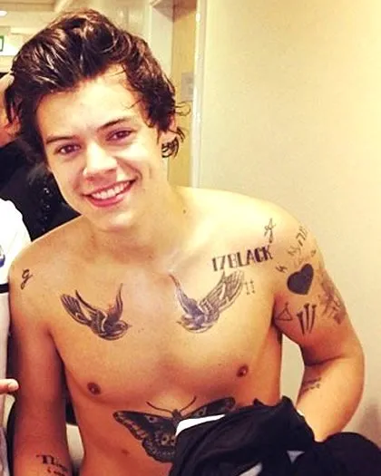 Harry Style Nude