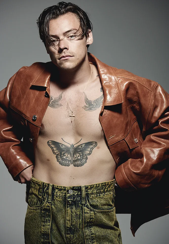 Harry Styles shirtless