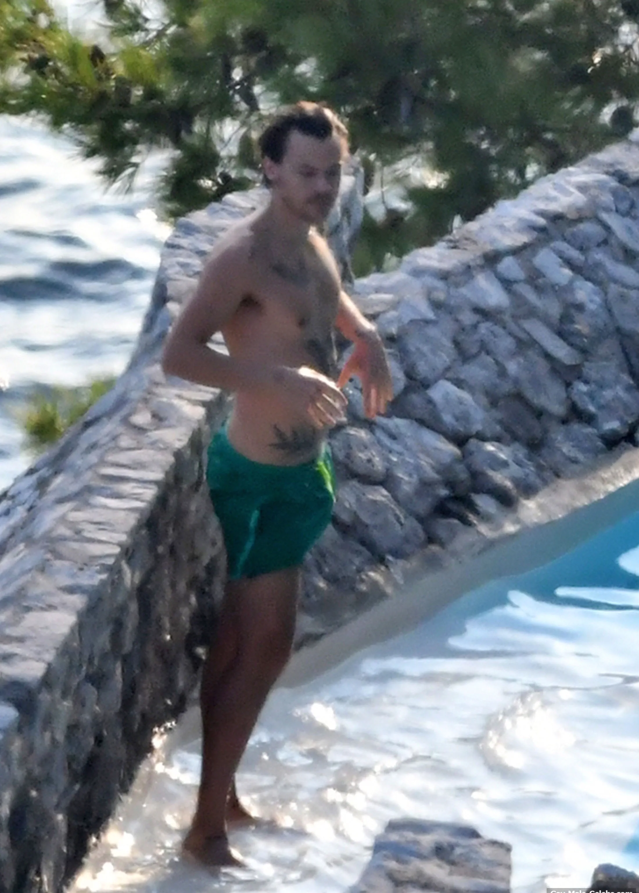 Harry Styles dick pics