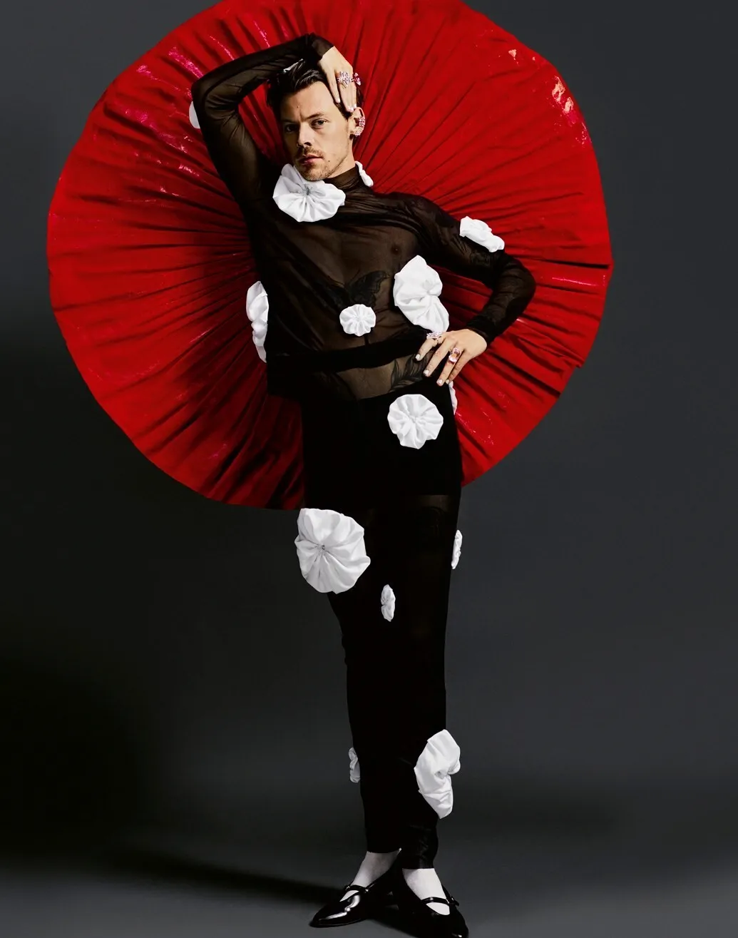 Harry Styles oops shots