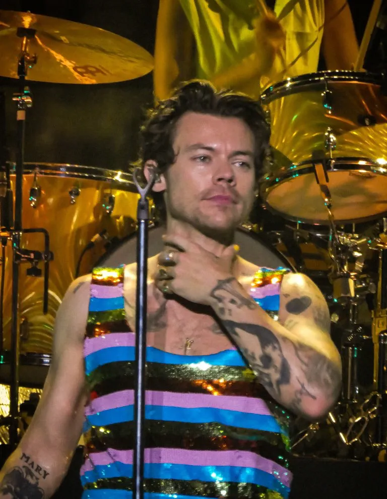 Harry Styles shirtless