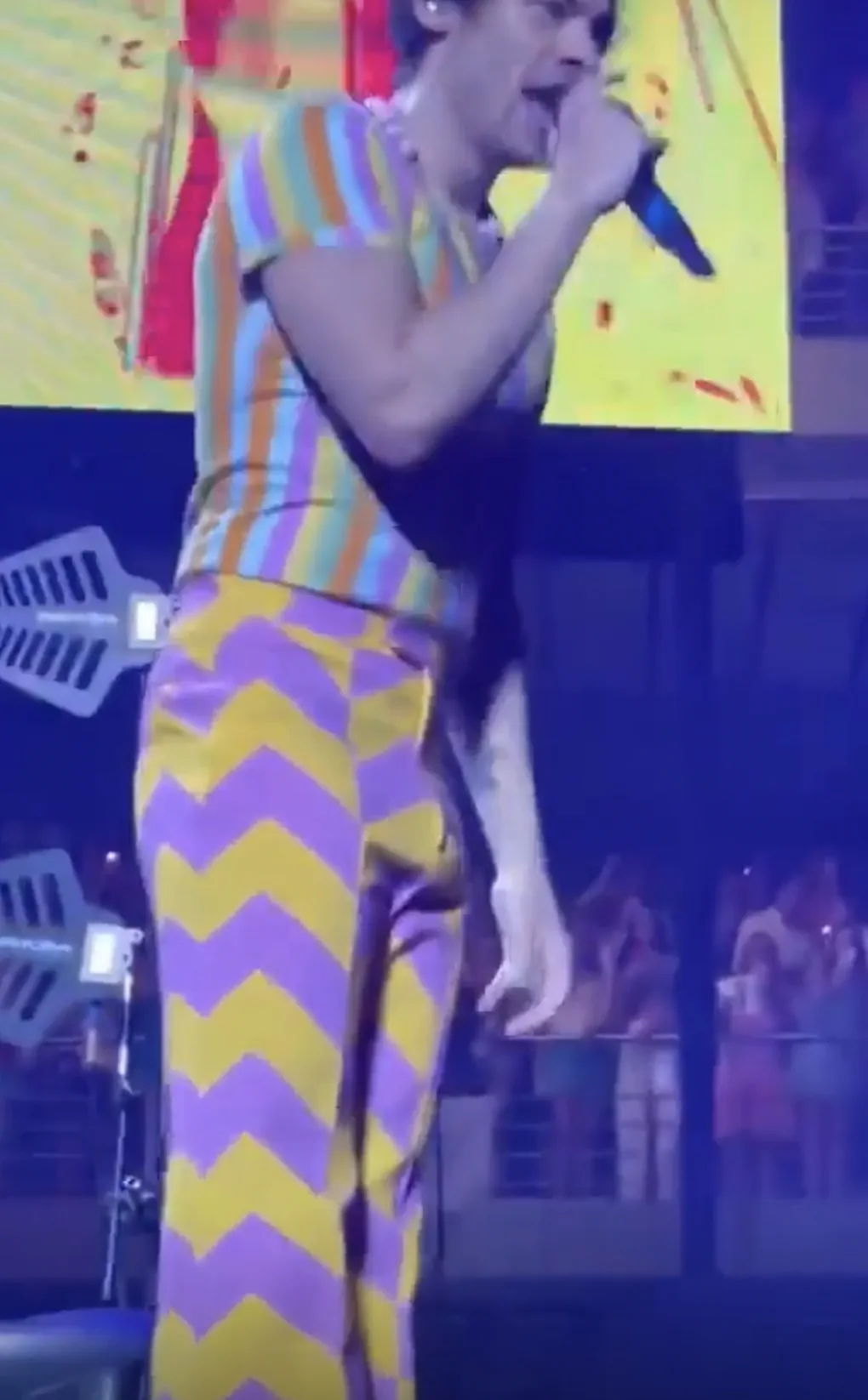 Harry Styles cock nude