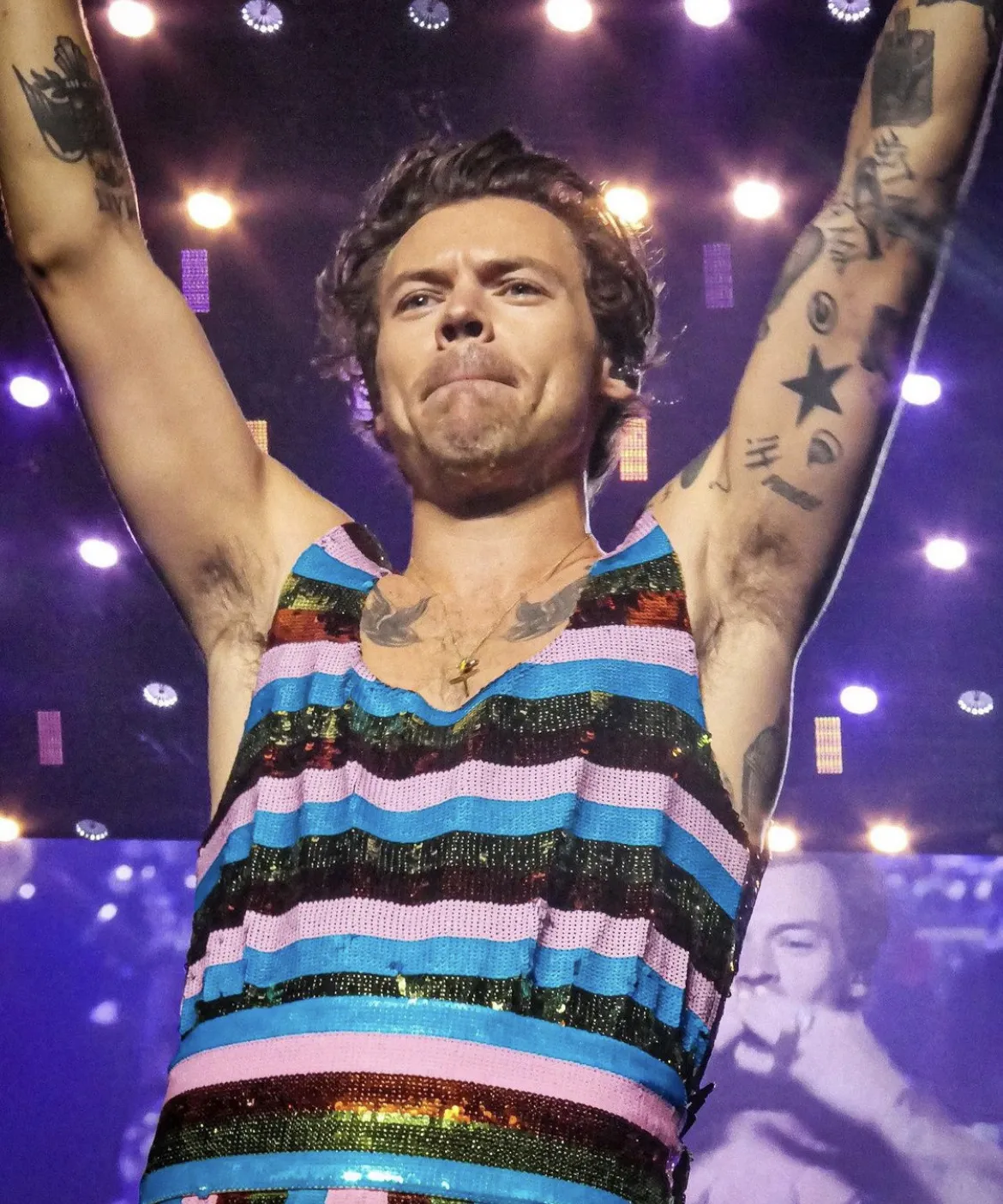 Harry è molto sexy al concerto