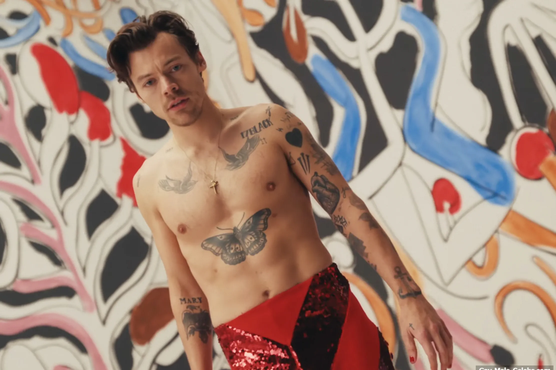 Harry Styles nude photos