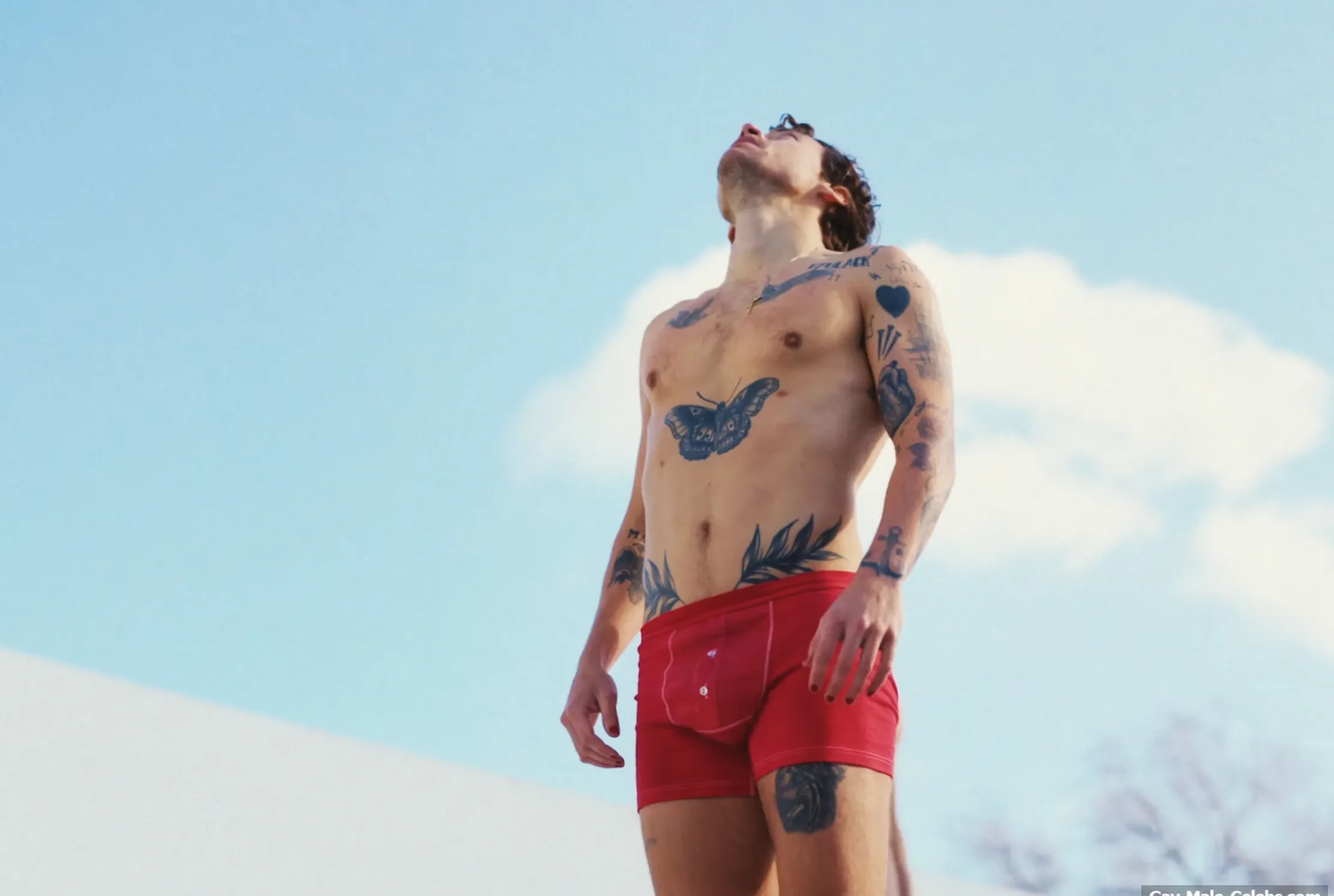 Harry Styles penis photos