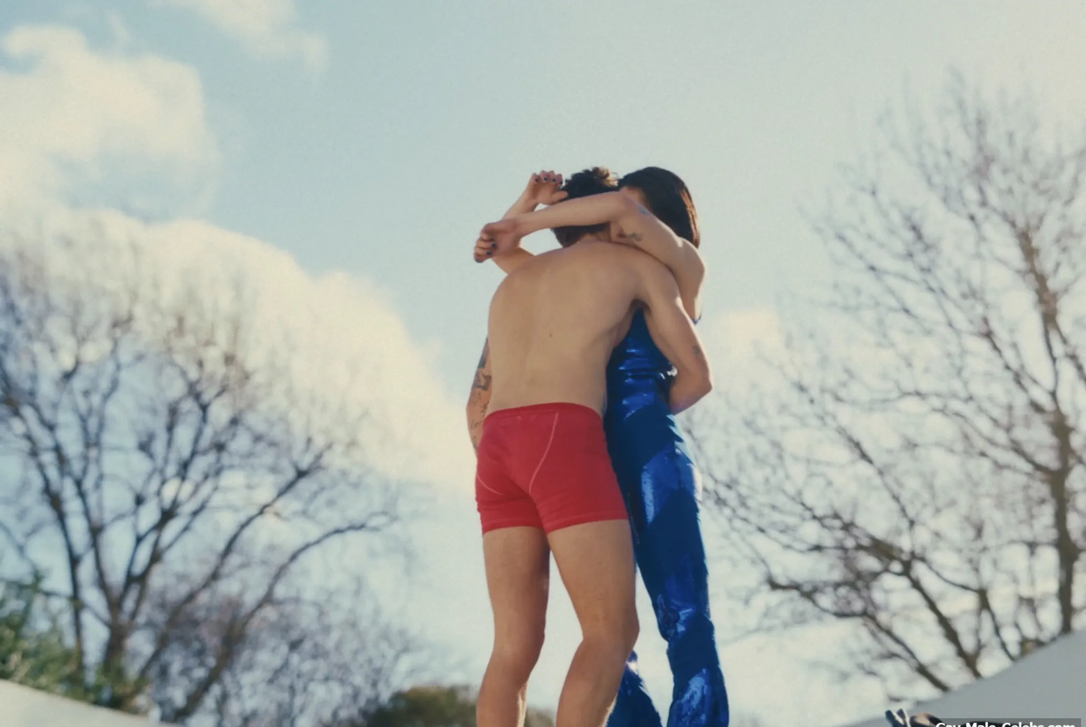 Harry Styles sex tape