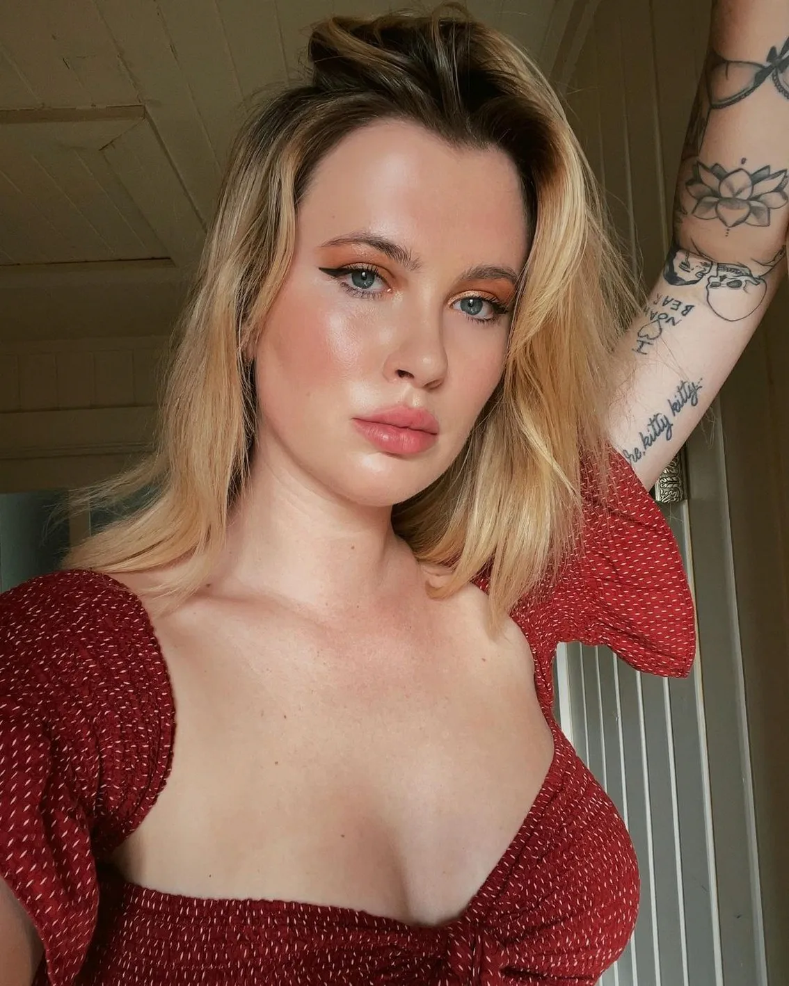 התמונה האישית החדשה של בולדווין, אירלנד (12 תמונות וסרטונים)