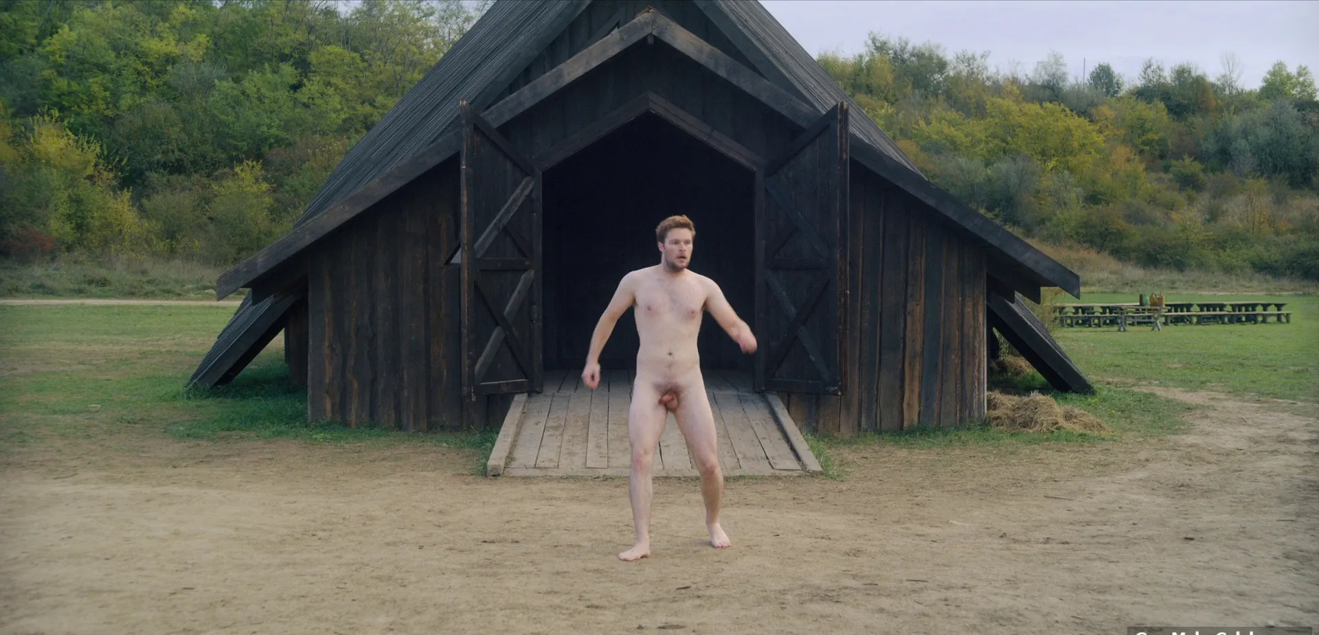 Jack Reynor penis scenes