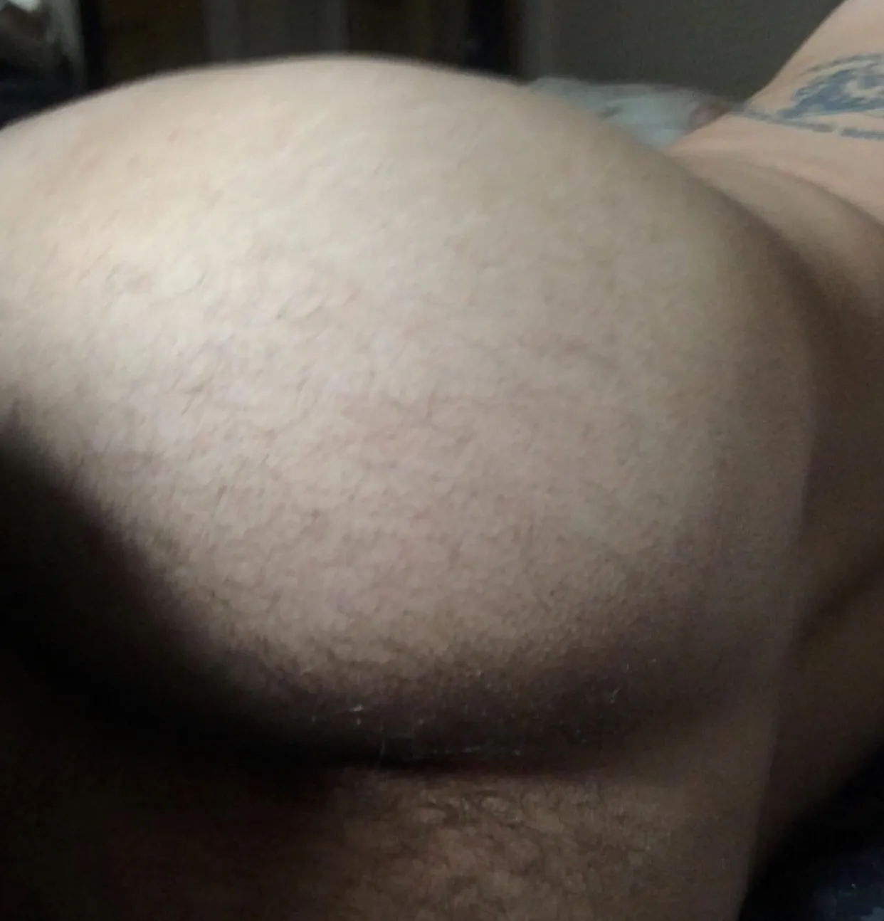 北美音乐家杰克居民