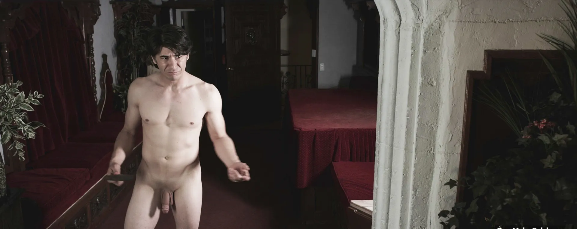 James Duval frontal nude