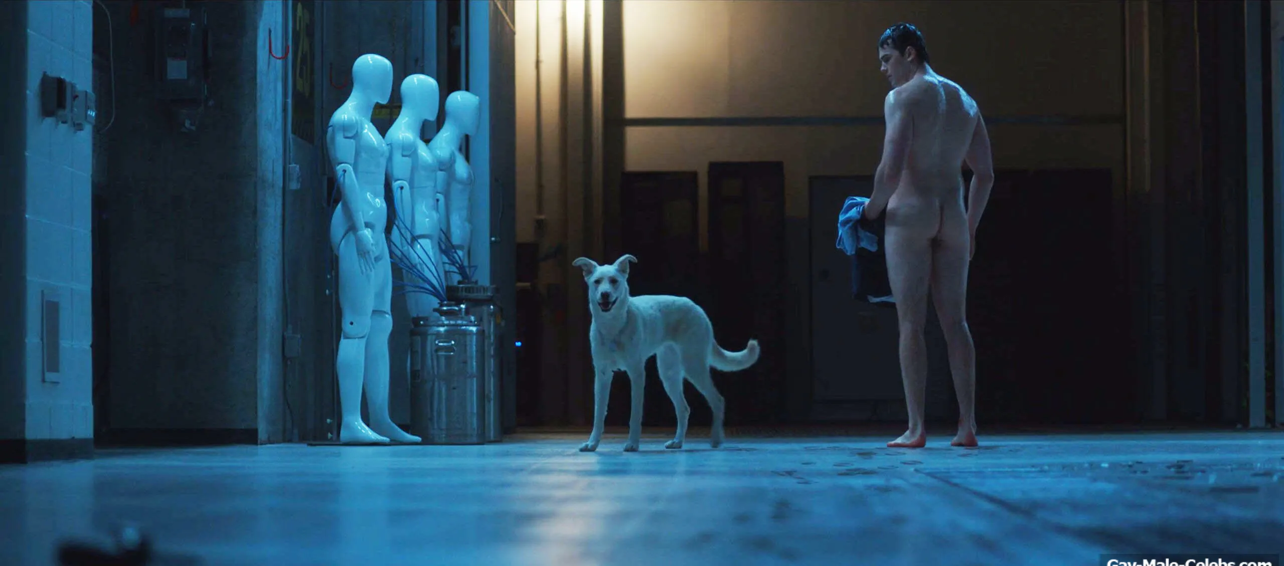 ஒஸ்னோவா ஒஸ்னோவ்