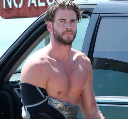 Liam Hemsworth Nude