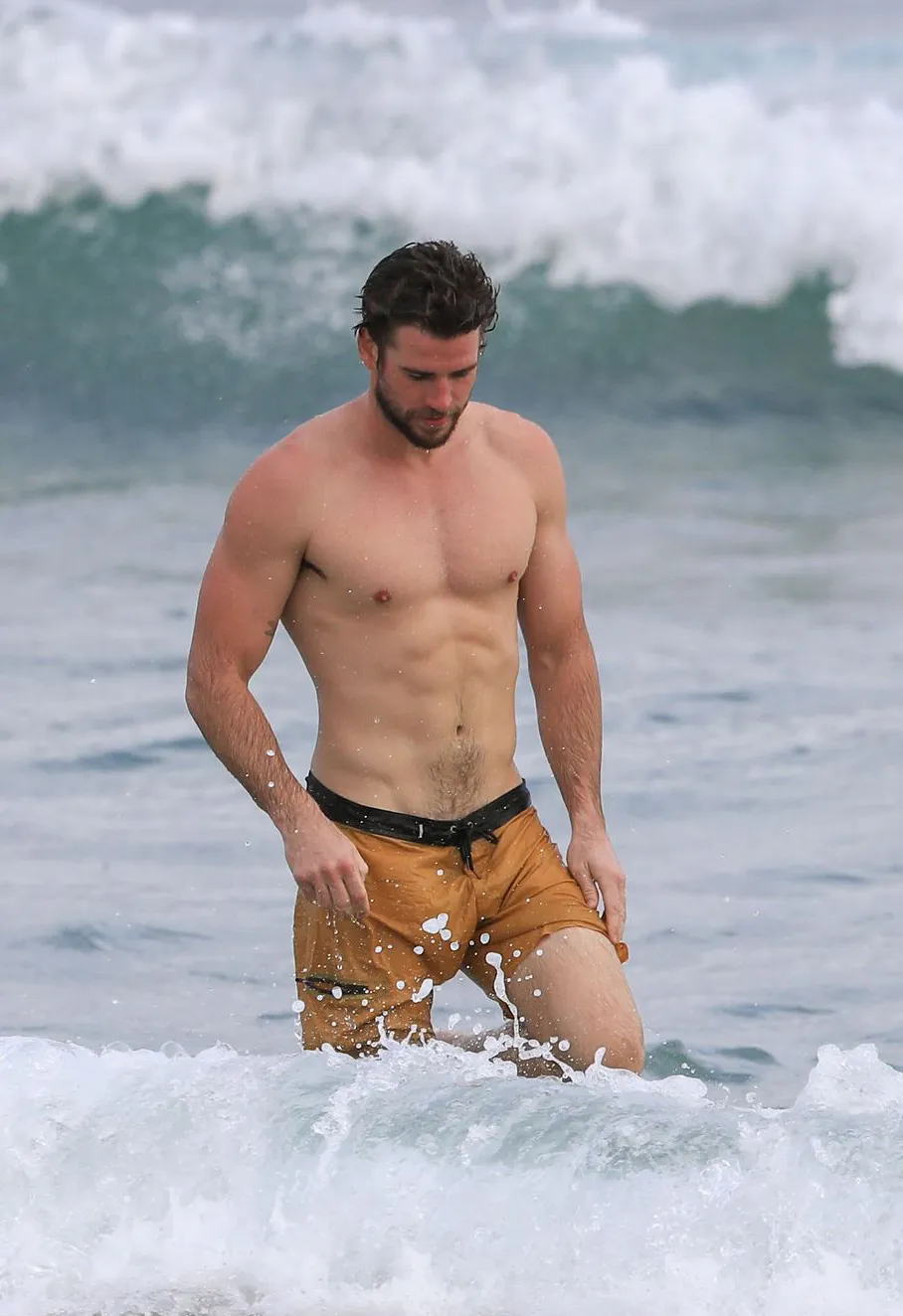 liam hemsworth penis