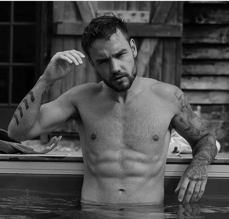 Liam Payne nude