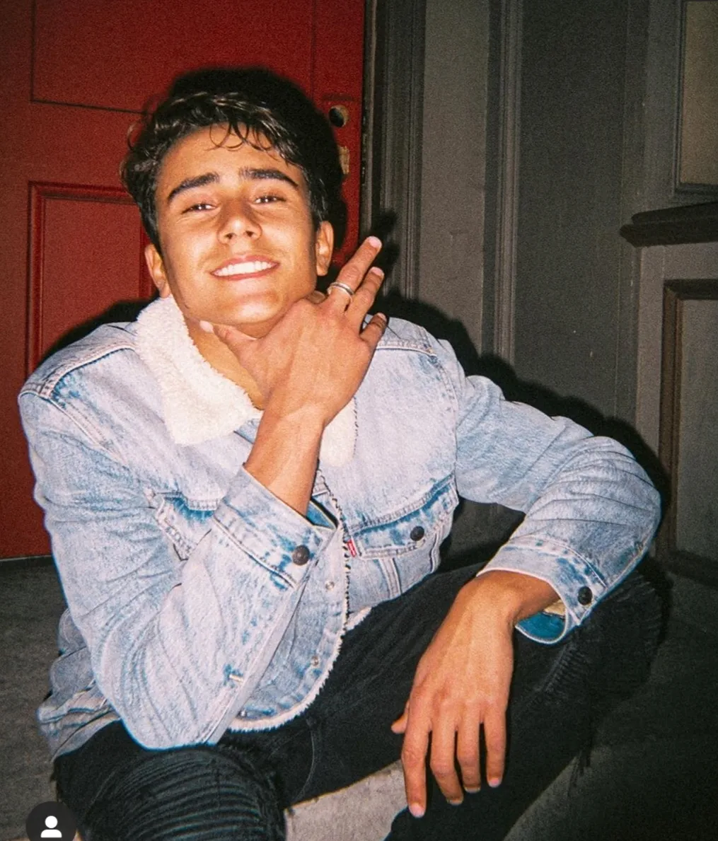 Michael Cimino gay sex