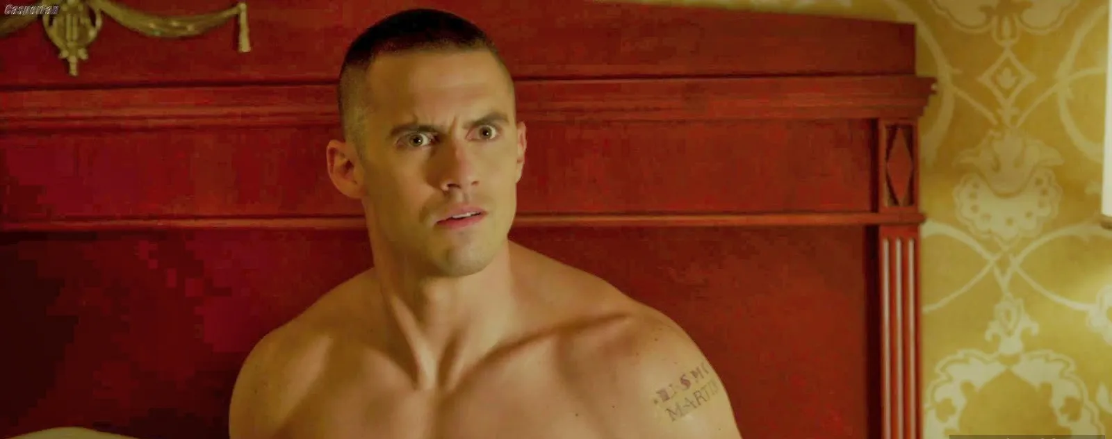 Milo Ventimiglia Nude