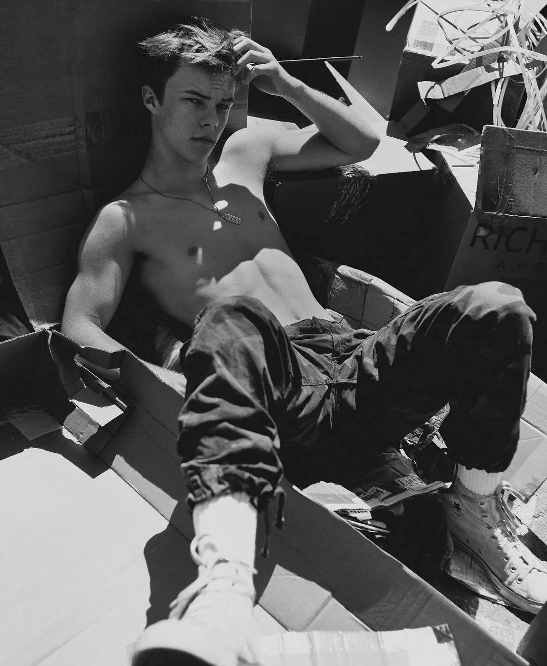 Nicholas Hamilton Nude